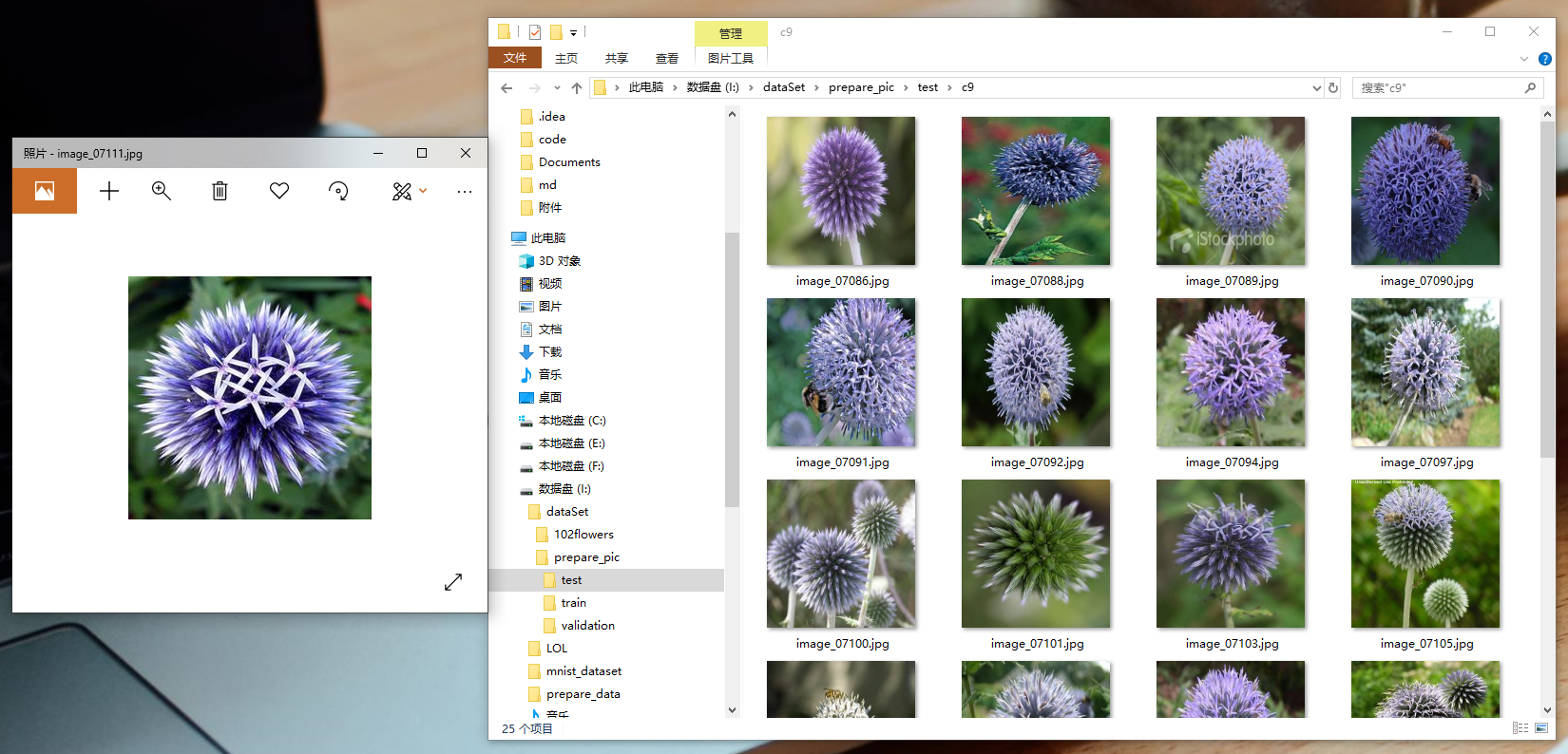 GitHub - gaoli1537/flower102: flower102数据集分类_tensorflow_slim ...